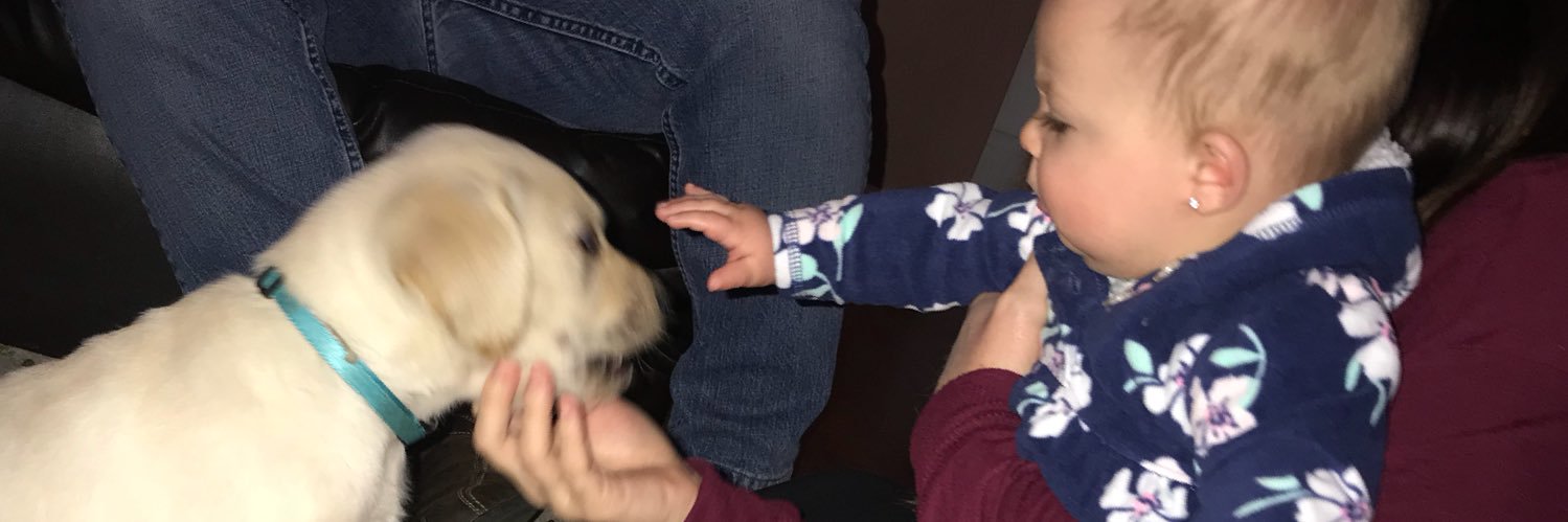 mrshannahbeck's profile banner image