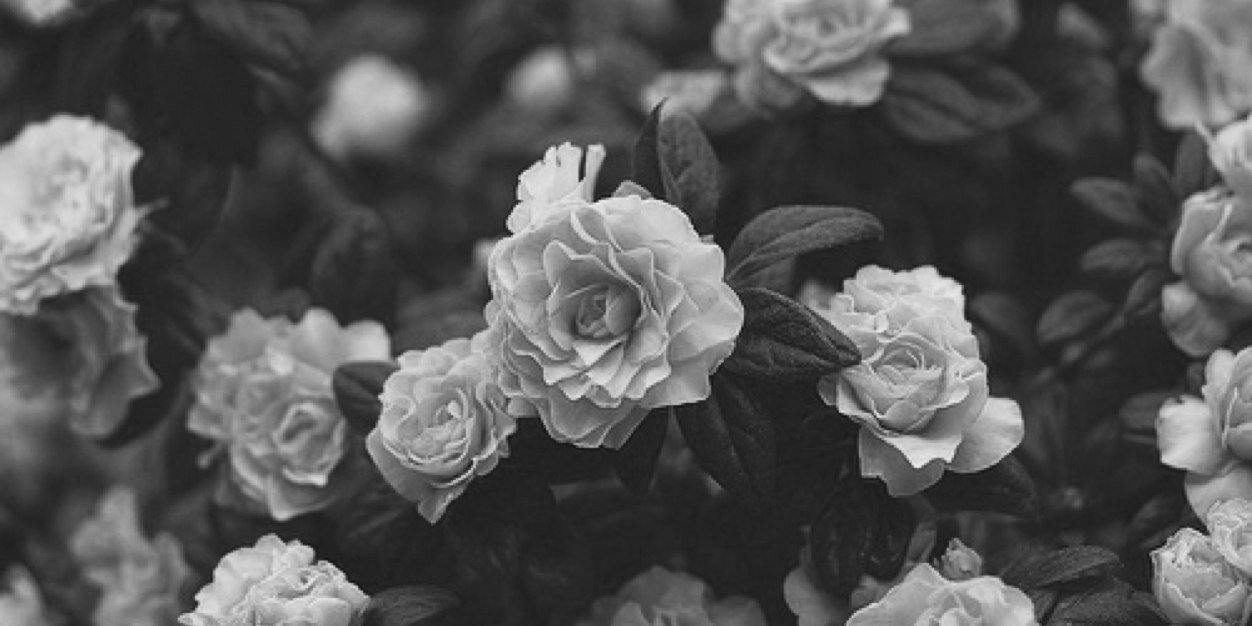 marchsellay's profile banner image