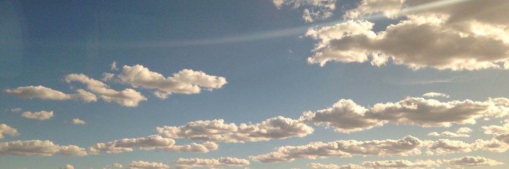 Serena Larkin banner