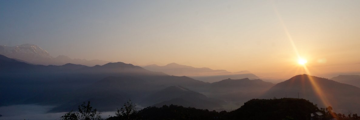 olgiebee's profile banner image