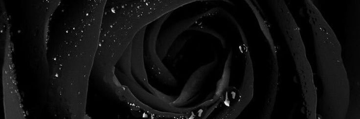 Dear_Tyler's profile banner image