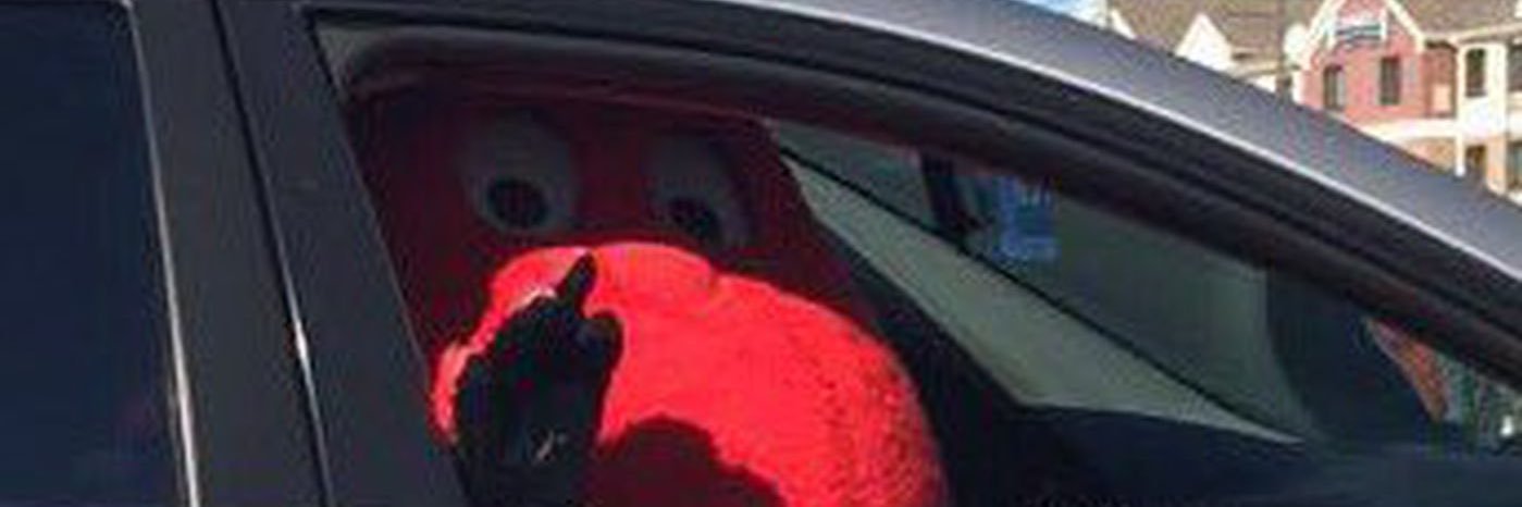 taylorrrm's profile banner image