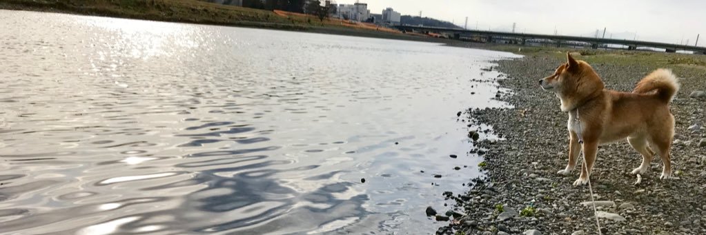 SBPi1103's profile banner image