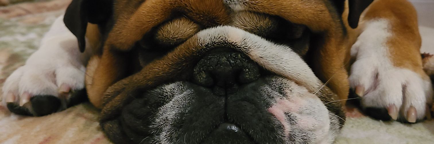 Chrispurs_'s profile banner image