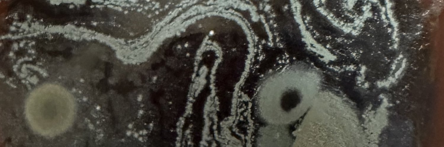 RooTurboMoth's profile banner image