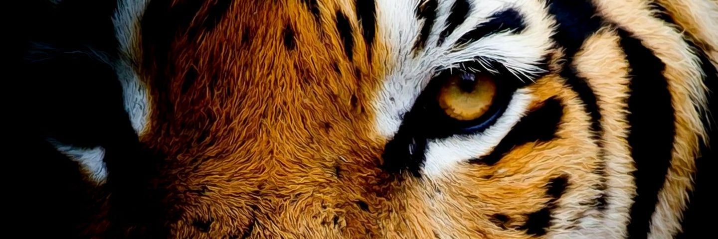Jnyce414's profile banner image