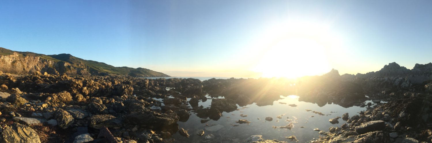 ZinniaBell's profile banner image
