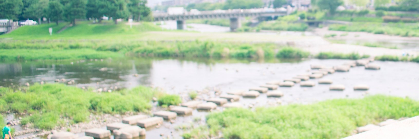 yui29's profile banner image