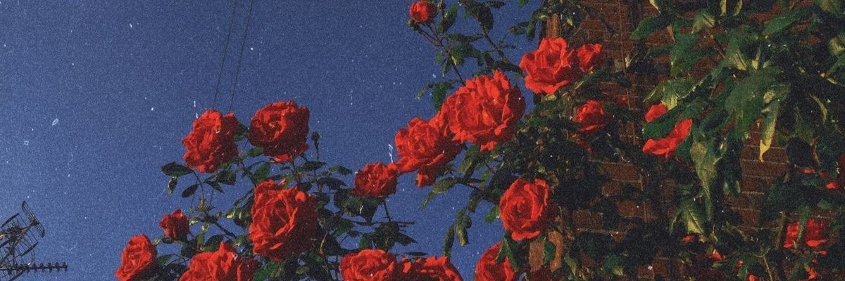 _andinay's profile banner image