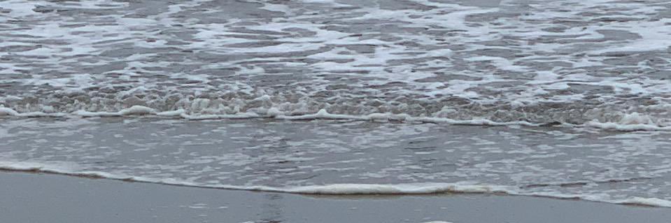 karinarojo's profile banner image