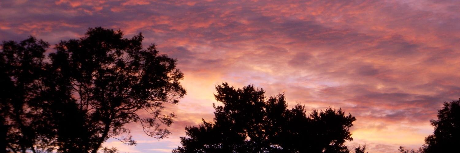 Stepterix's profile banner image