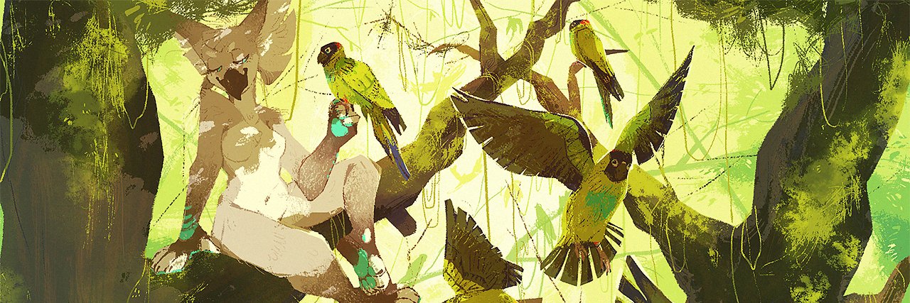 meekor in California banner