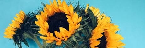 katlengg's profile banner image