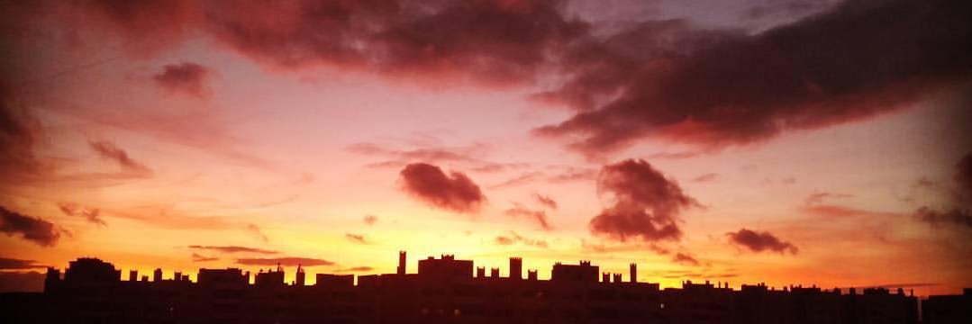 🌍🌷🐿️ Sandra 🐘🌻🐝 banner