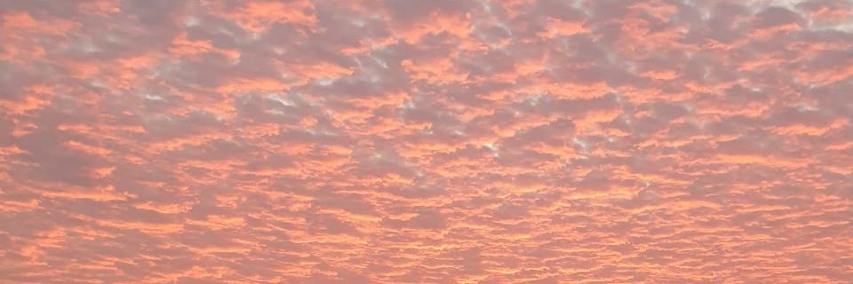 yeahbeesee's profile banner image