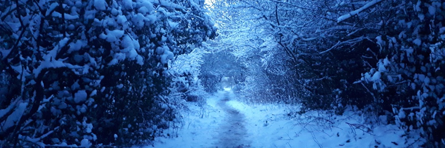 Necr0w's profile banner image