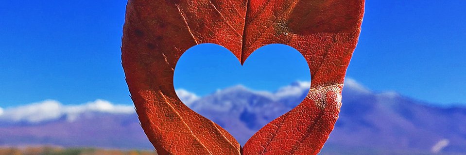 amemiya_i's profile banner image