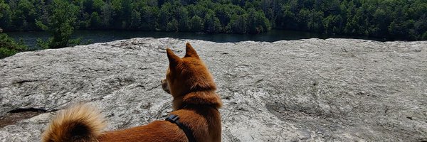 KuroAoki Profile Banner
