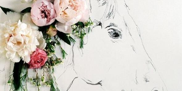 Ecaaey's profile banner image