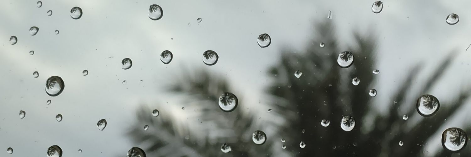 sadfowl's profile banner image
