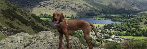 Matley13 Profile Banner