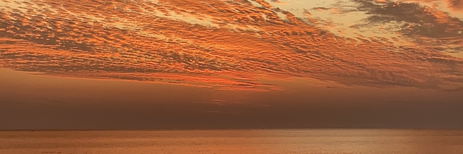 SNYSONYA's profile banner image