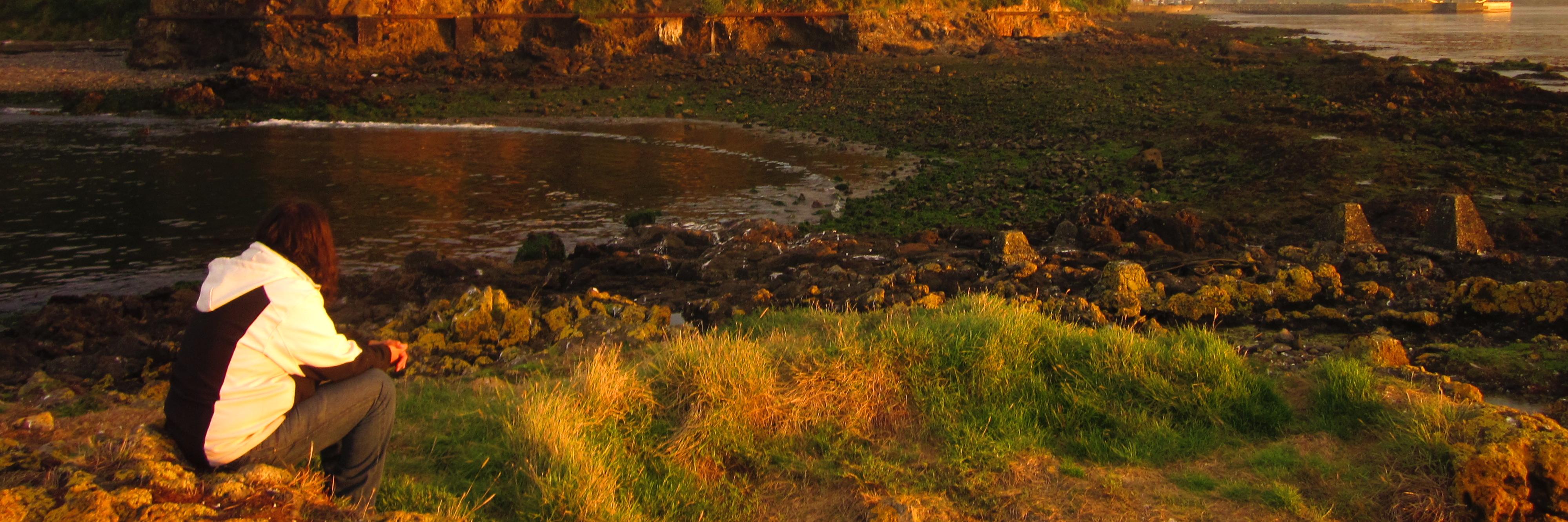 DiegoQC banner