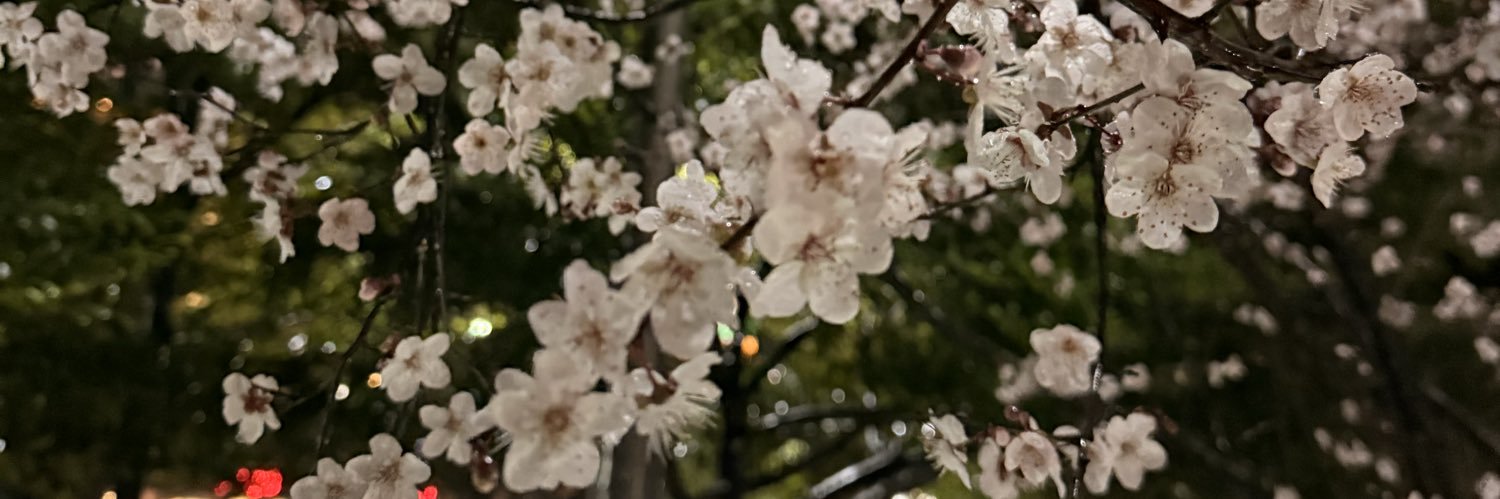 ampzllzite's profile banner image
