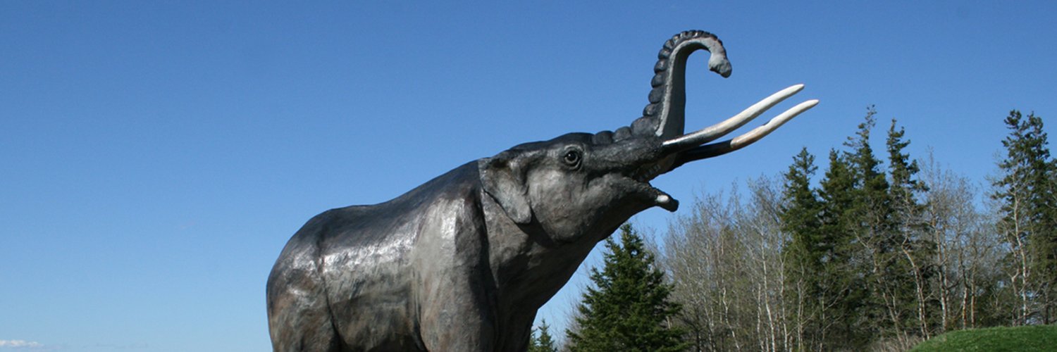 ma_mchugh's profile banner image