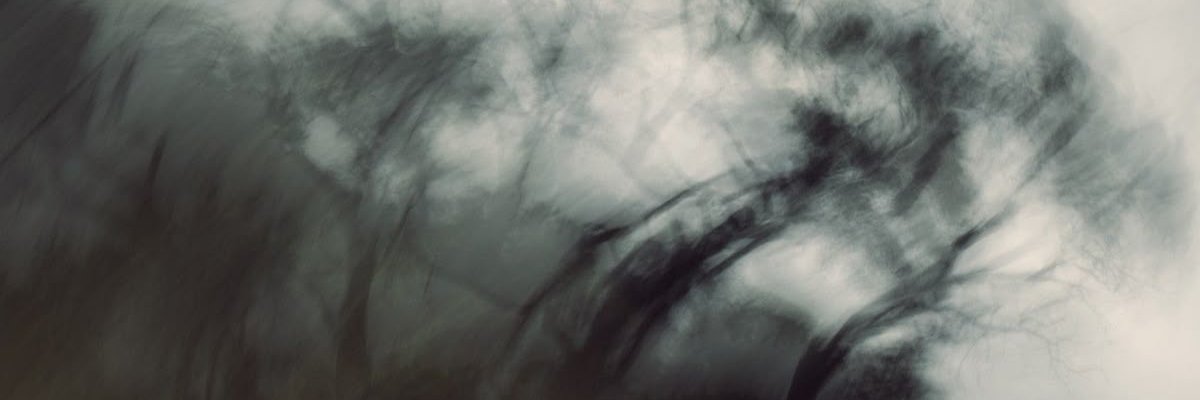 gnnwookpark's profile banner image