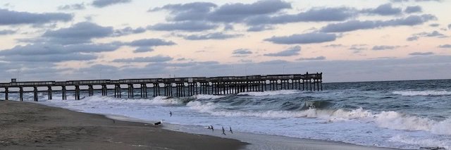 Denise Walker banner