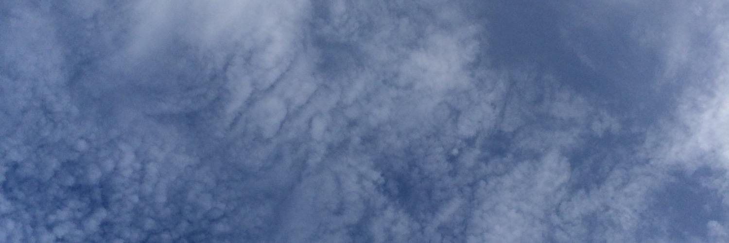 Nicholas Rage banner