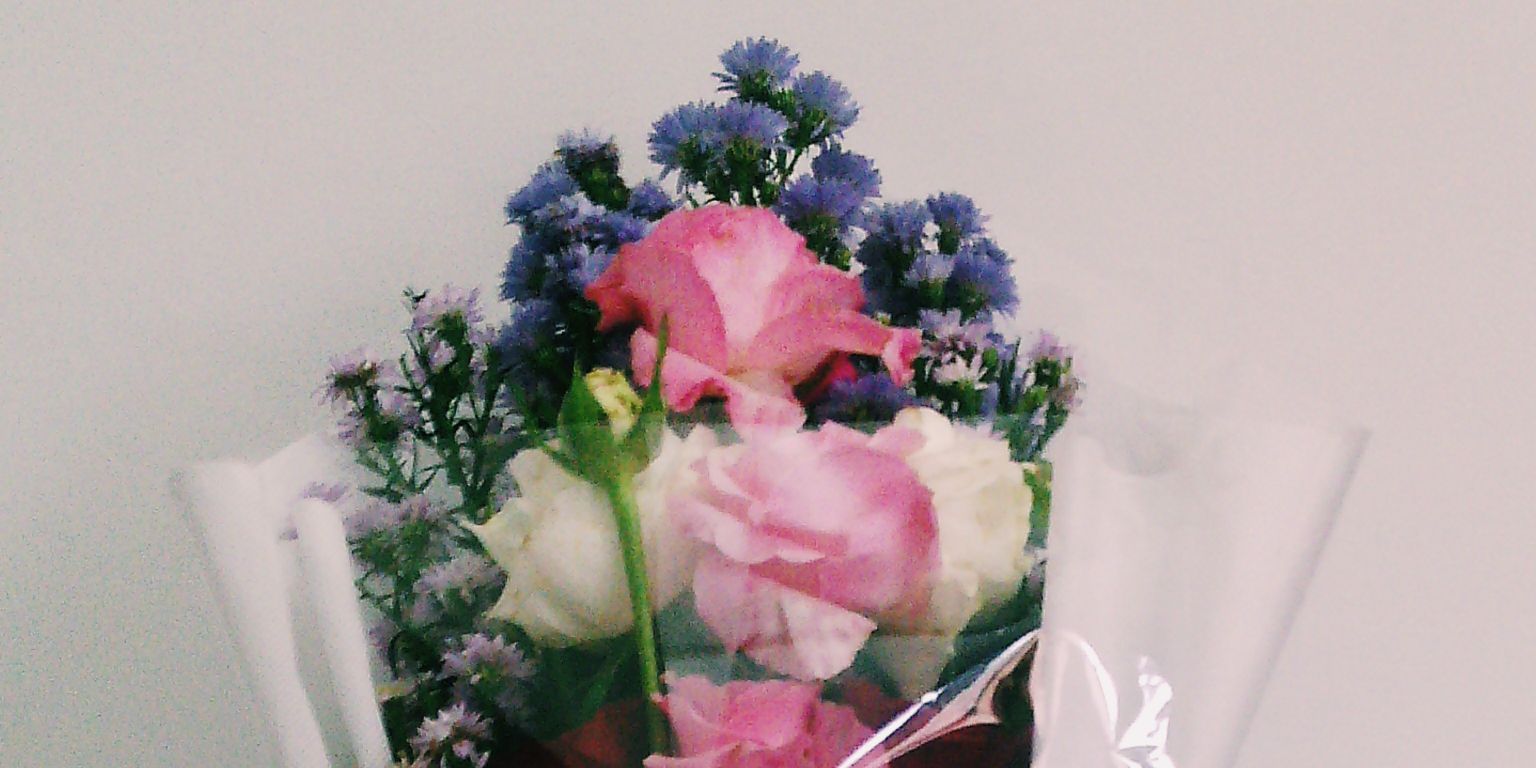 Vioenix Dectilyvera banner