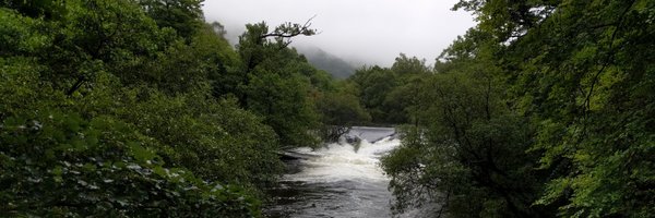 carwynedwards Profile Banner