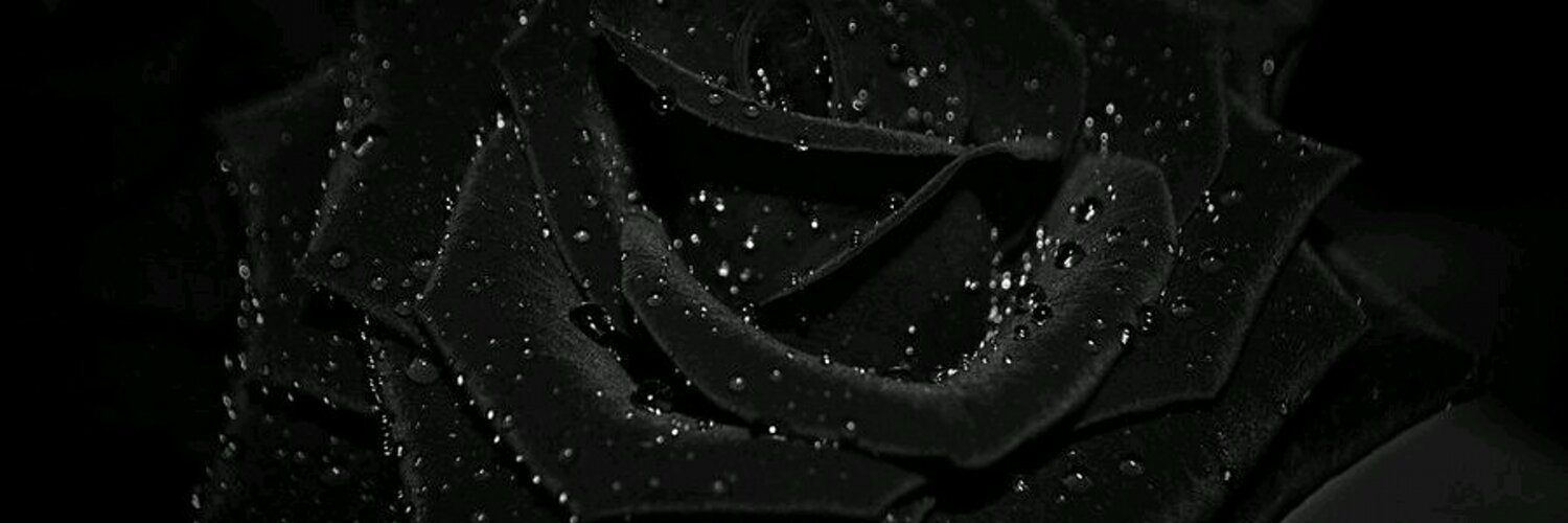 thenorthmace's profile banner image