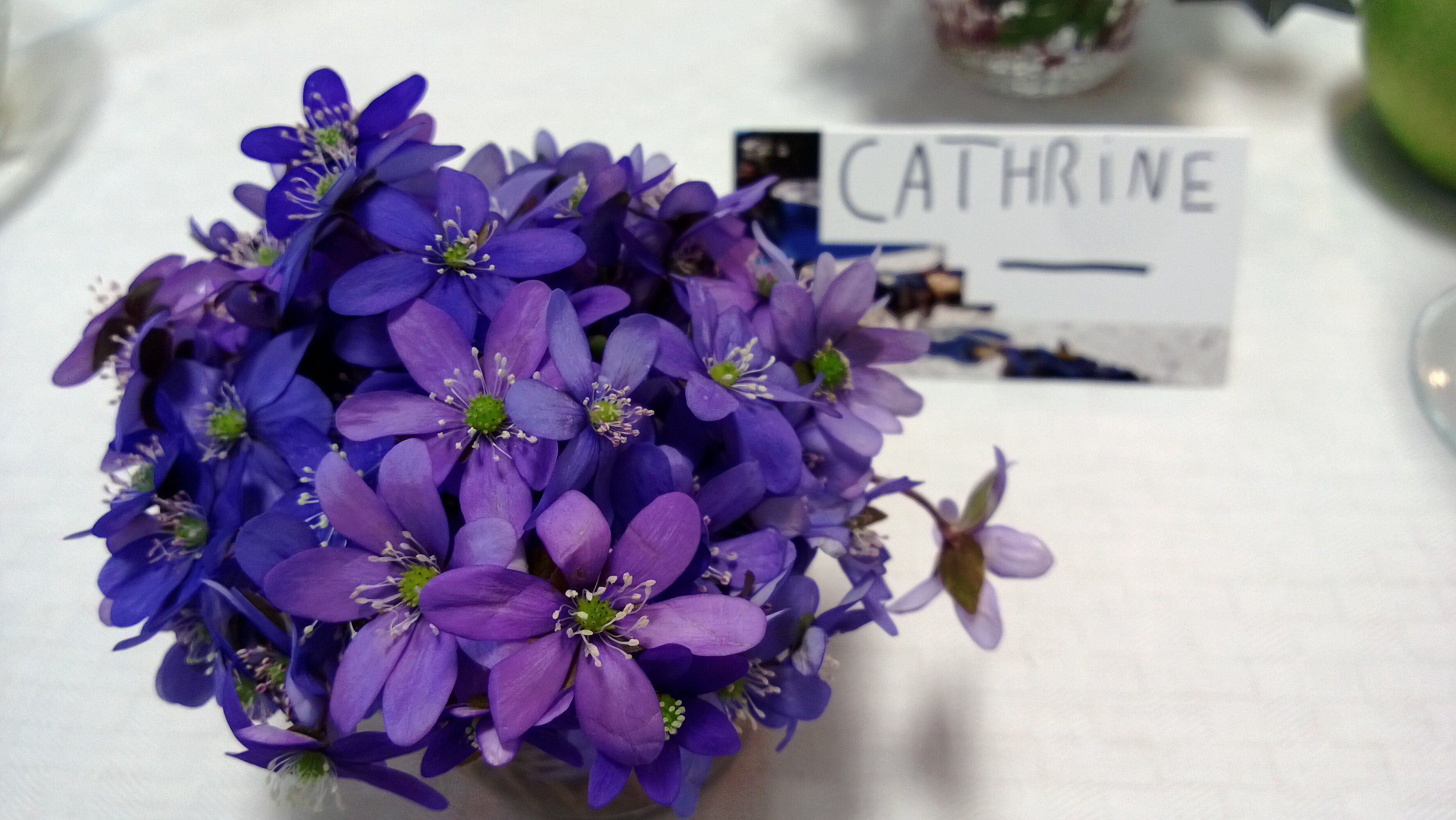 cathrinebore's profile banner image