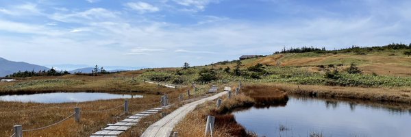 rezoolab Profile Banner