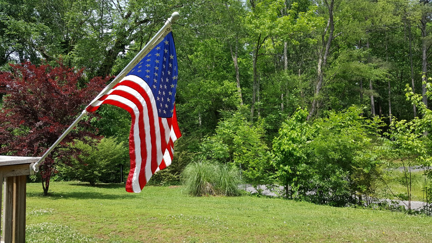 SD8951's profile banner image