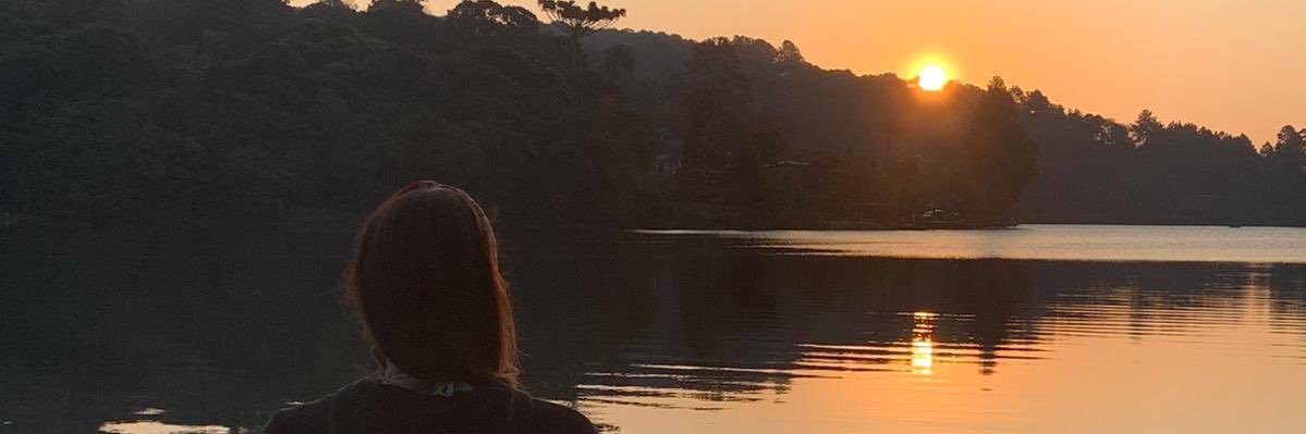 Luciana Herrmann banner