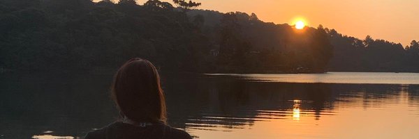 LuHerrmann Profile Banner