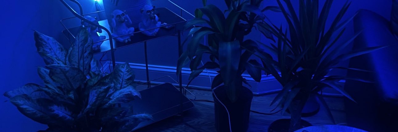 ReaLasitCanBe's profile banner image