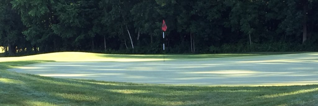 Long_suffering_Leaf_Fan banner