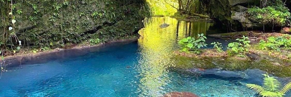 Arlene Graham banner