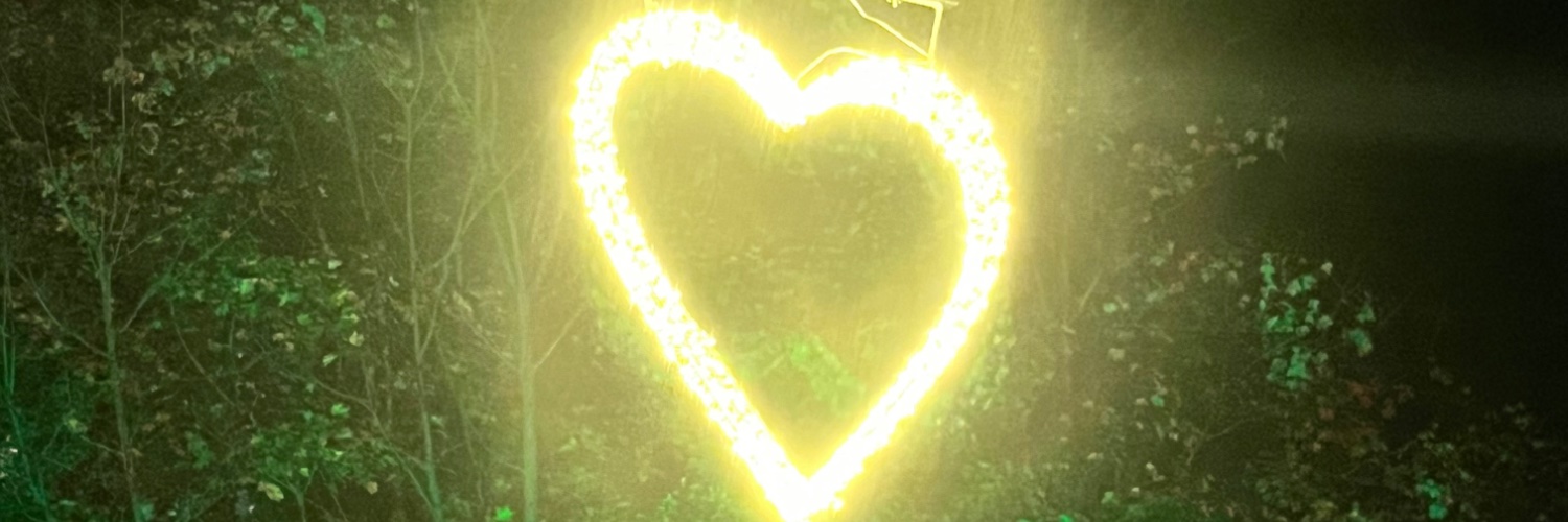 MSScharfenberg's profile banner image