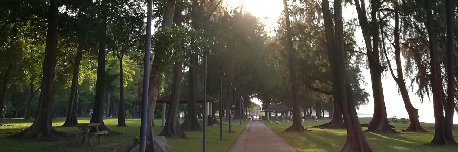 geraldyeap's profile banner image