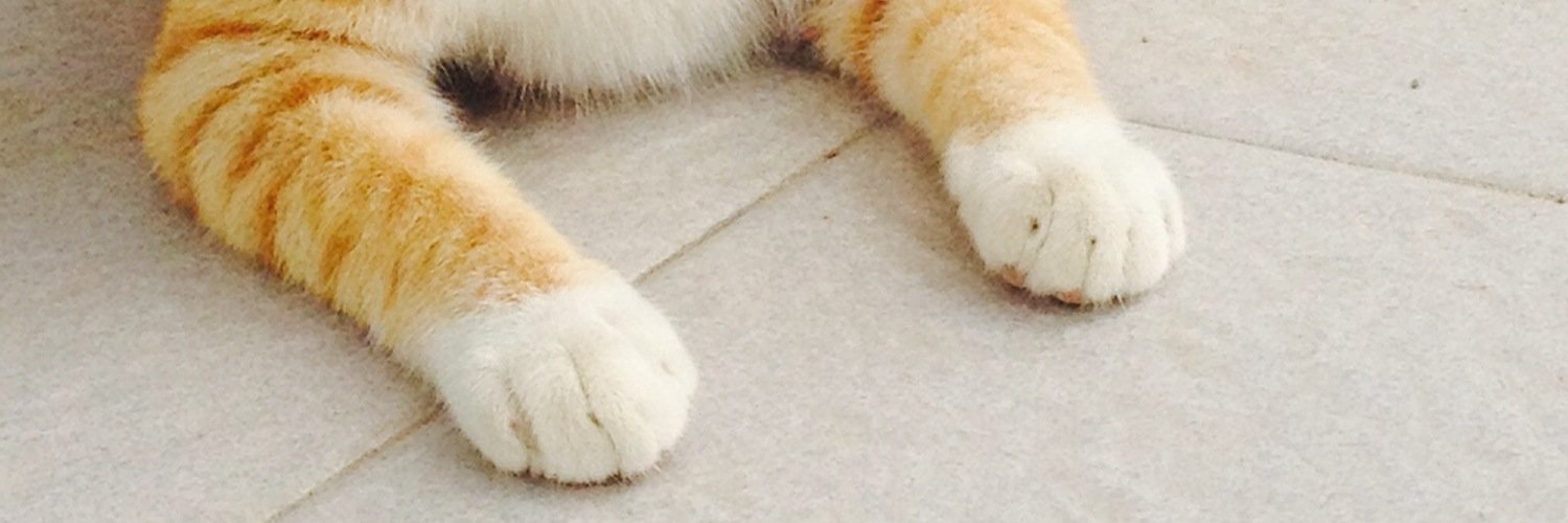 edeww's profile banner image