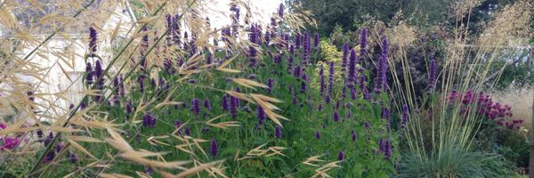 S_Hockenhull Profile Banner