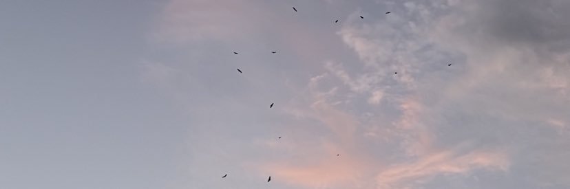ajuliapassos's profile banner image