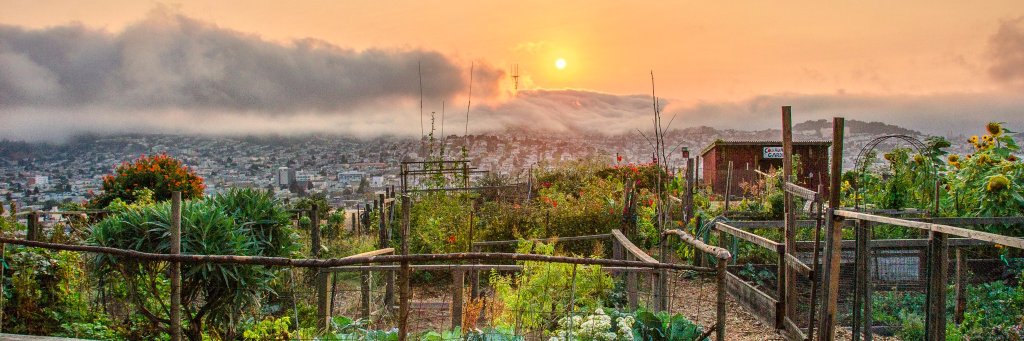 Seed the Commons banner