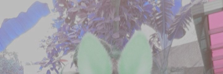 guusterino's profile banner image